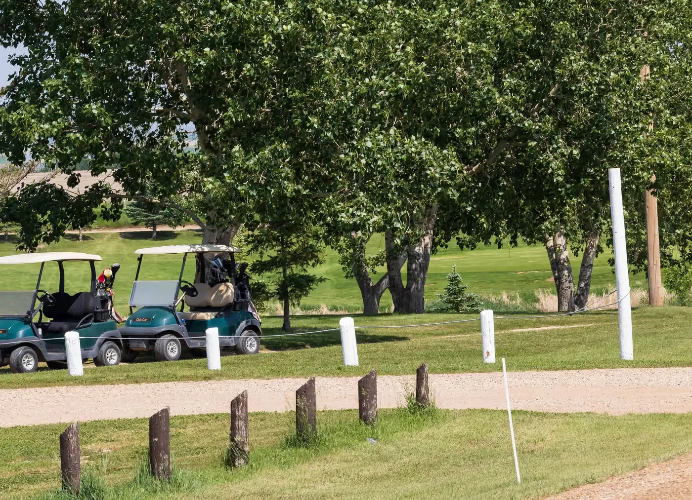 Golf carts parked under the trees at the Assiniboia Regional Park golf course